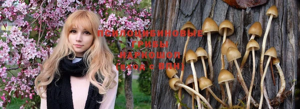 ешки Зеленокумск