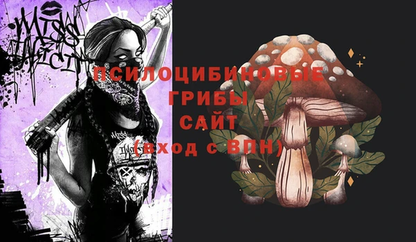 ешки Зеленокумск