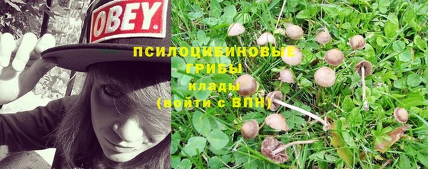 ешки Зеленокумск