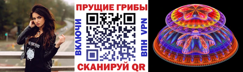 Псилоцибиновые грибы мухоморы  Купить закладки  Заринск 